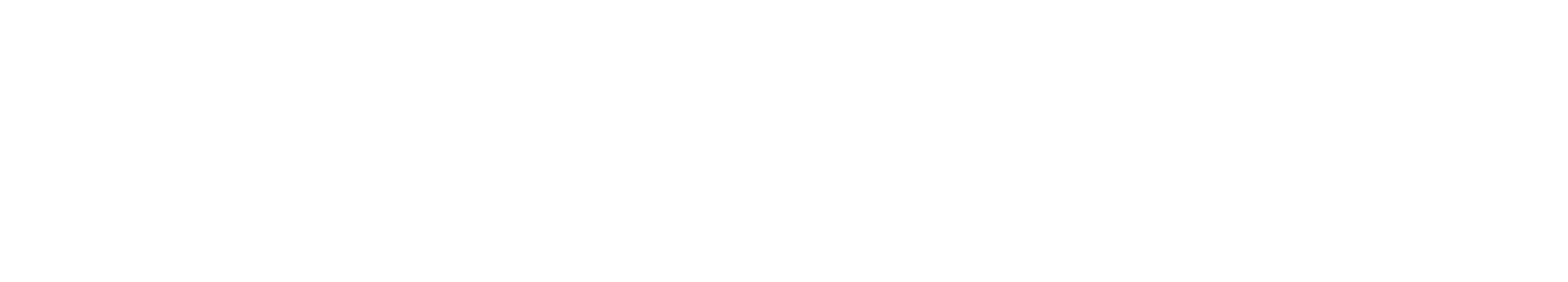 Footer Logo 1 | Overeem Automotive